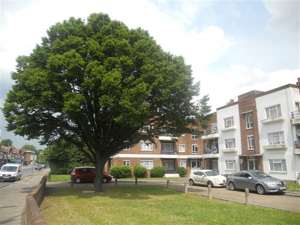 Elthorne Court